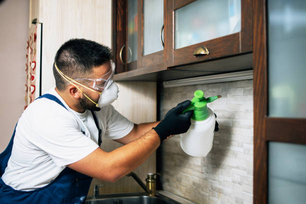 Best Flea Control Services  in Camanche, IA
