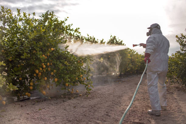 Best Mosquito Control Services  in Camanche, IA
