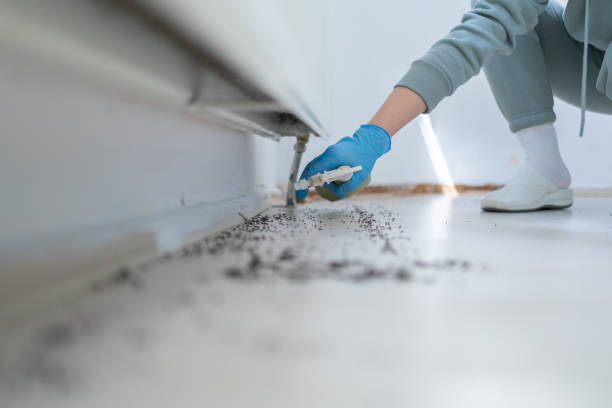 Best Best Pest Control Companies  in Camanche, IA