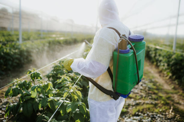 Best Residential Pest Control  in Camanche, IA